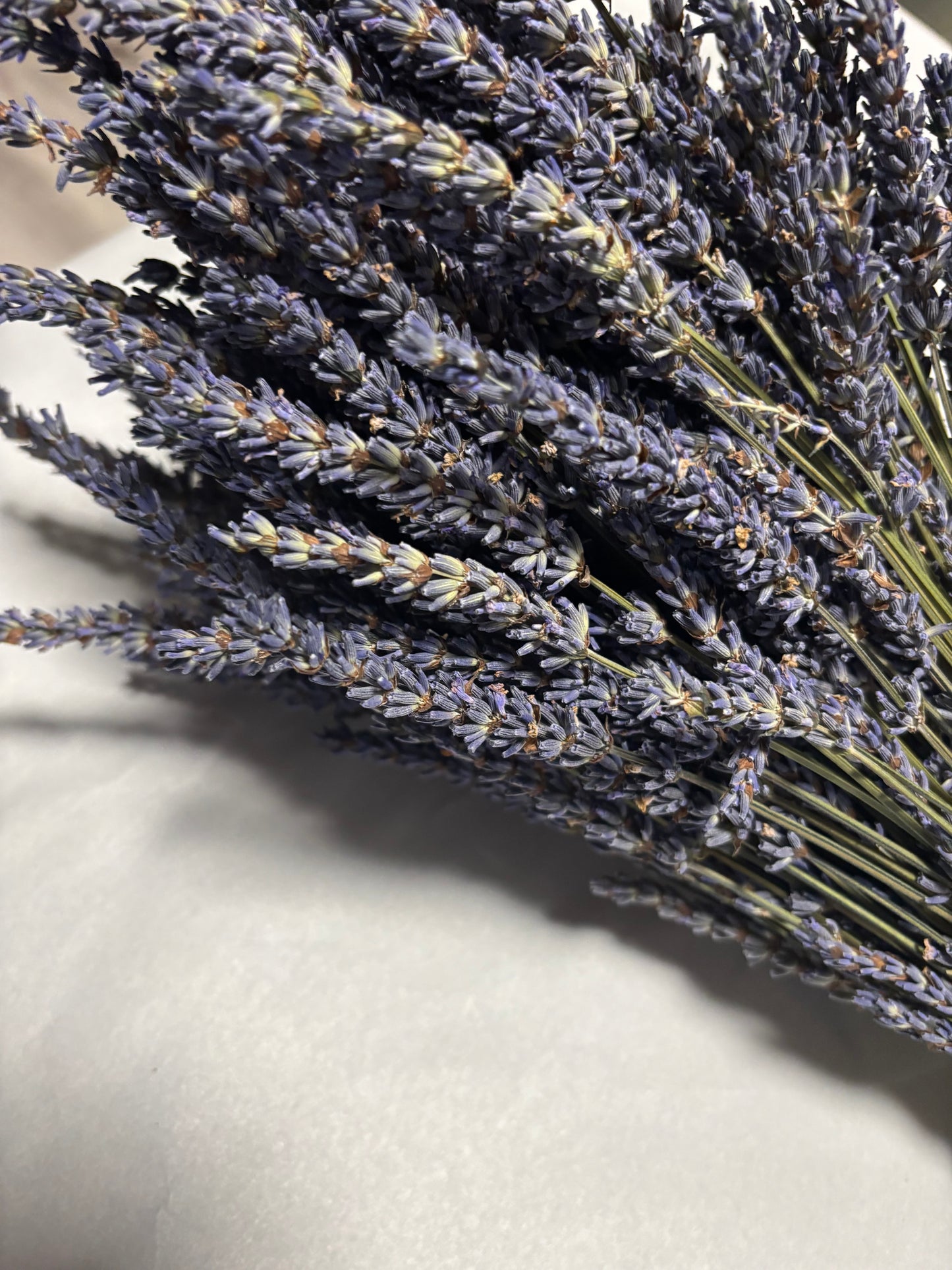 Dried Grosso Lavender Bundles