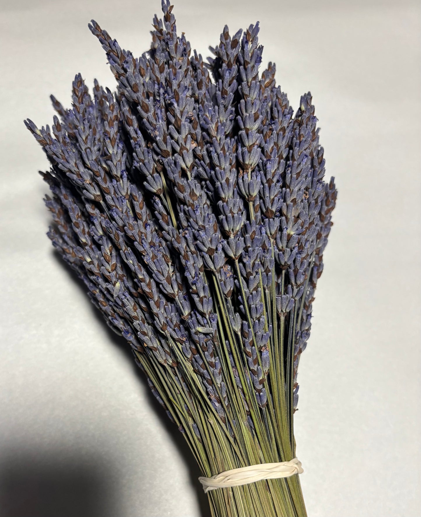 Short Grosso Dried  Lavender Bundles | Farm-Grown in Sequim WA | Meli's Lavender