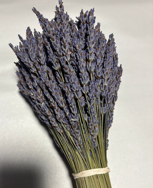 Short Grosso Bundles