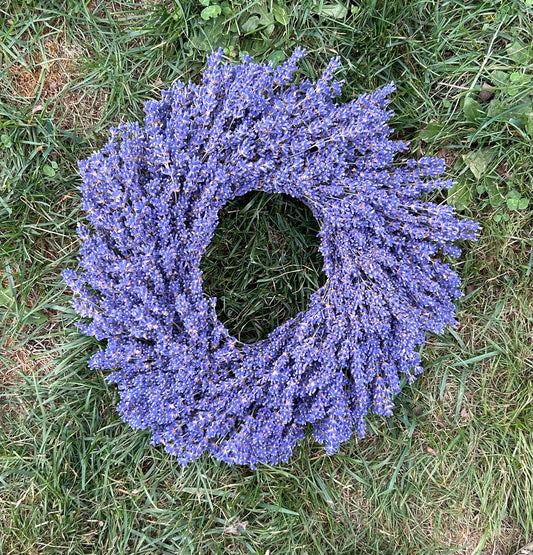 12 inch lavender wreath