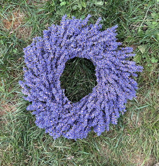 Dried Grosso Lavender Bundles – Meli's Lavender