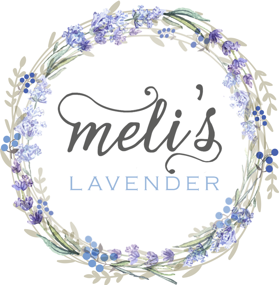 Dried Grosso Lavender Bundles – Meli's Lavender