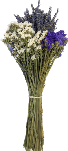 Grosso (French Lavender) and Statice Flowers (Sea Lavender Purple, White, Blue) Bundle
